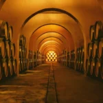 Wine Gogh